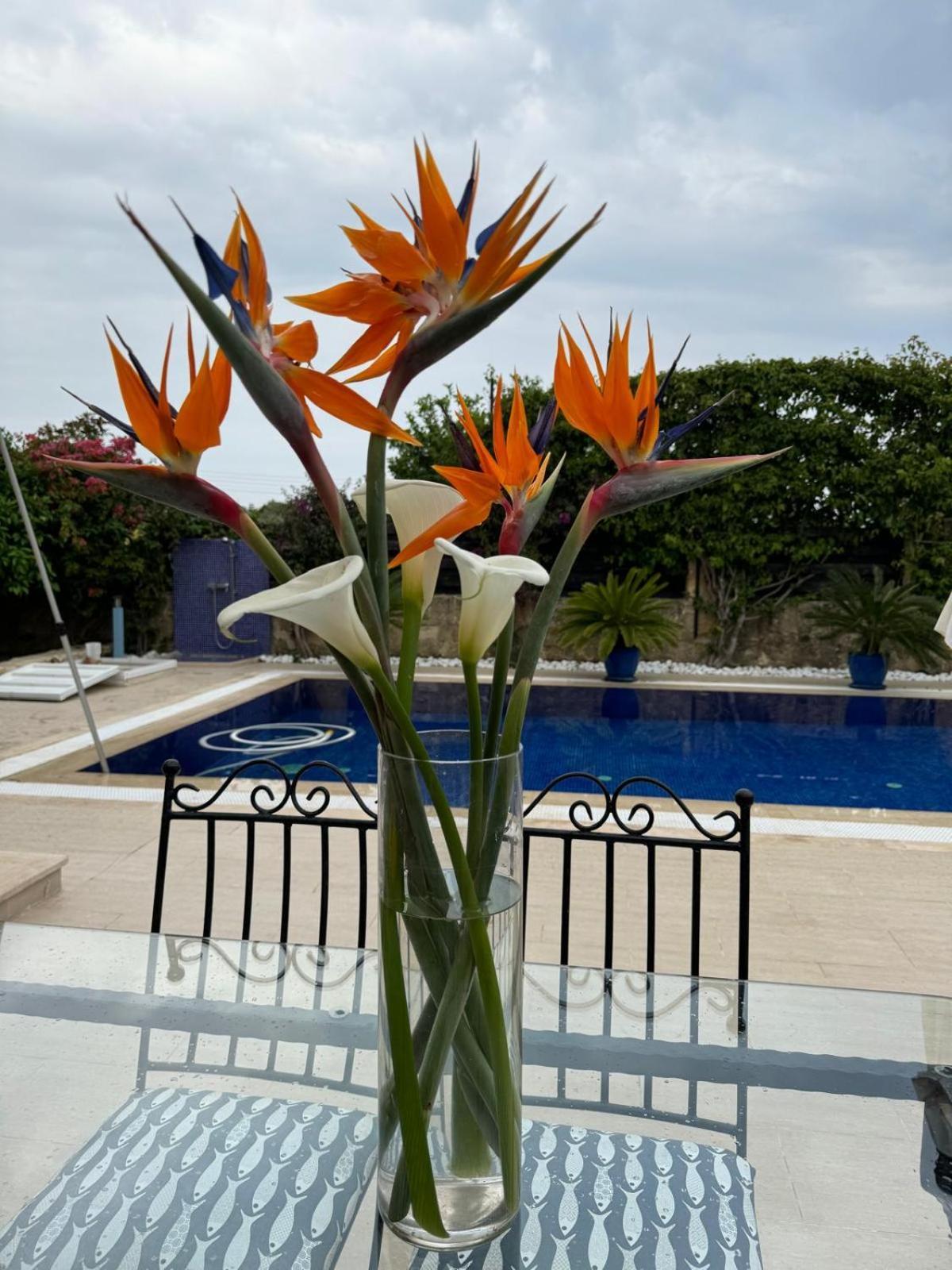 Casa Santos Kyrenia Villa Kyrenia  Luaran gambar